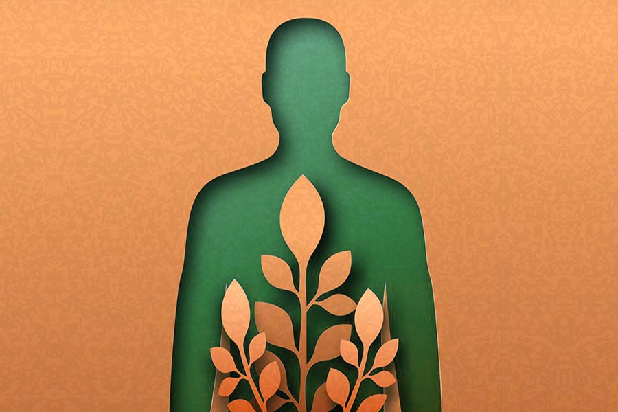 Conditions-Treated-Dr-David-Lans A human body shape cut out of cardboard with green paper underneath and cardboard leaves on top, symbolizing medical conditions treated by Dr. David Lans in New Rochelle.