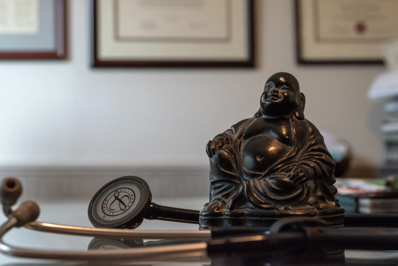 dr david lans customized health plans lab results